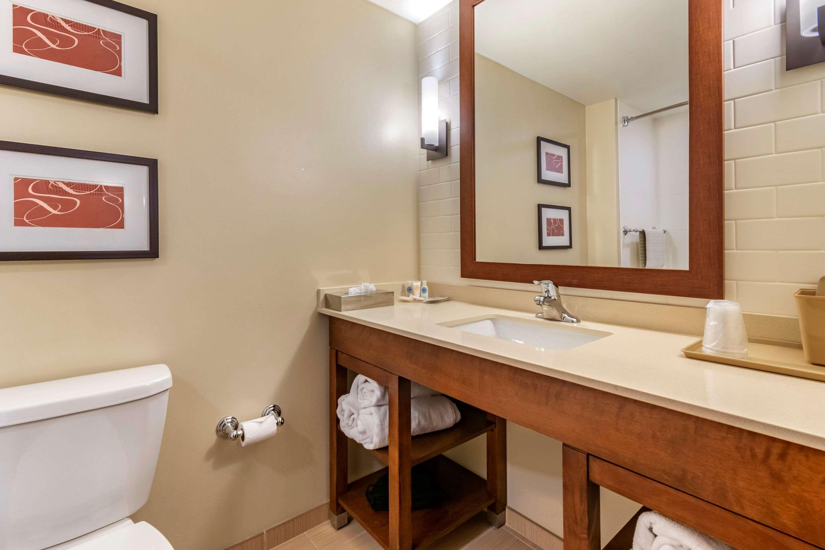 Comfort Suites Manheim - Lancaster Extérieur photo